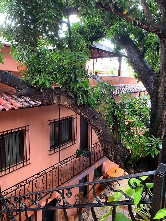 Mansion Colonial Dona Elvina Ξενοδοχείο Σάντο Ντομίγκο 0*,